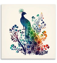 Colourful peacock in branches, white background 