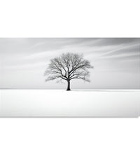 Painting for Living Room:Monochrome with a dry tree in the middle of the frame