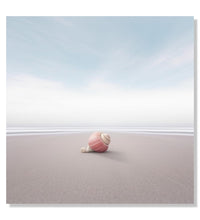 Painting for Living Room:A pink seashell on a beach