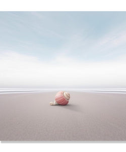 Painting for Living Room:A pink seashell on a beach