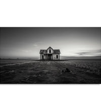 Painting for Living Room:Minimalistic Monochrome with a delapidated gouse in the middle of a grassland ad clear sky
