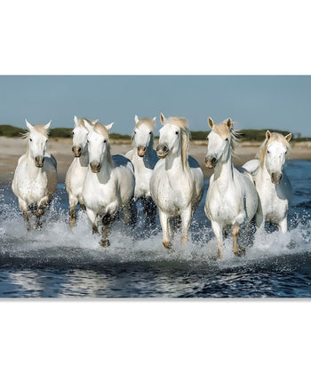 Painting for Living Room:Secen, Prestine realistic white horses running on water and clear sky and river bank in background