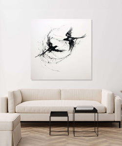 Two birds circlling each other, black and white