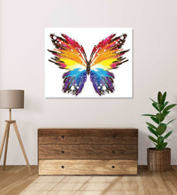 Butterfly in red, orange, yellow an dblue colours, abstract, whit ebackground
