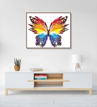 Butterfly in red, orange, yellow an dblue colours, abstract, whit ebackground : Living room Paintings