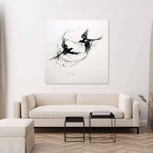 Two birds circlling each other, black and white